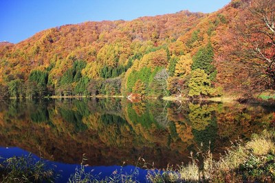 117.「北アルプス（新緑の頃）」 新緑の小川村から残雪の北アルプスを眺める・4K - YouTube