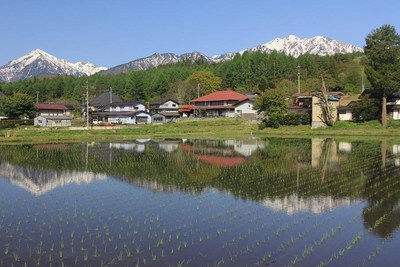 水田が水鏡になっています！！ | 北アルプスCOOL便