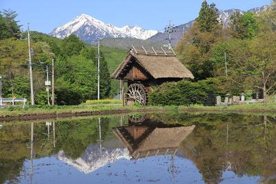 水鏡 水田が水鏡になっています！！ | 北アルプスCOOL便