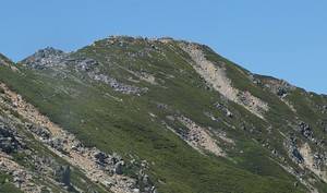 南アルプス、標高三千メートルの山々。仙丈ケ岳から。: 亜甲中玄