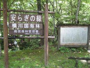 不動明王、熔岩石不動明王、熔岩石仏、倉田辰彦作 不動明王、溶岩石不動、石仏、倉田辰彦作 【公式通販】