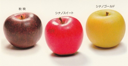 環境にやさしい農産物 りんご② | 来て！観て！松本『彩』発見