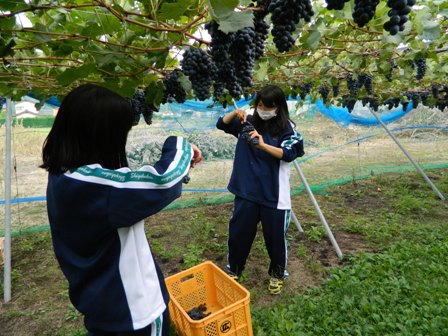 松本のワイナリーその3 「塩尻志学館高校」 | 来て！観て！松本『彩』発見