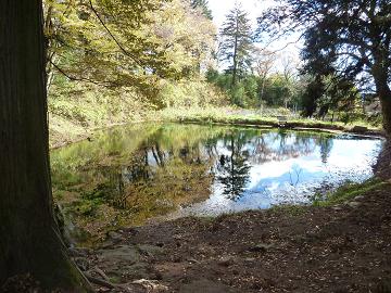 秋の大沼の池の湧水 | 信州自慢の水と空
