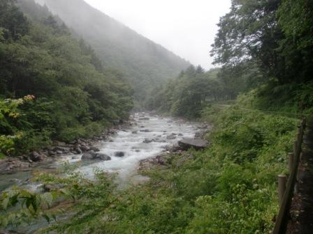 森林浴と信州の名水 秘水 阿寺渓谷 美顔水 信州自慢の水と空