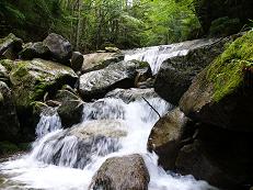 千曲川源流ウォーク～信州の名水・秘水と希少生物との出会い～ | 信州