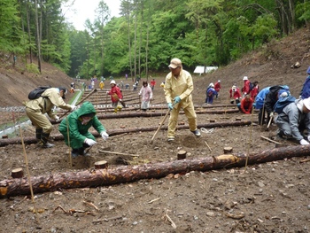 長野自動車道沿いのアカマツの枯れ木を伐採しています | 信州森林