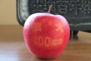 100周年りんご