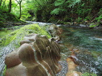 横川の蛇石（蛇の石、龍の滝） | 自然と遊ぼう！ネイチャーツアー