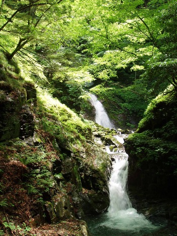 横川の蛇石（蛇の石、龍の滝） | 自然と遊ぼう！ネイチャーツアー