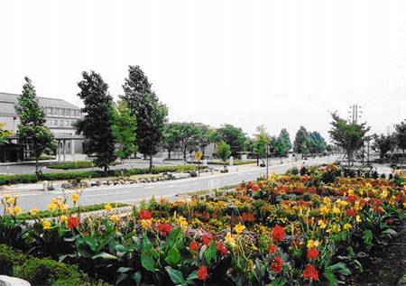 看護大学周辺地域景観形成住民協定地区の様子(駒ヶ根市)