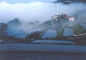 長野市中条