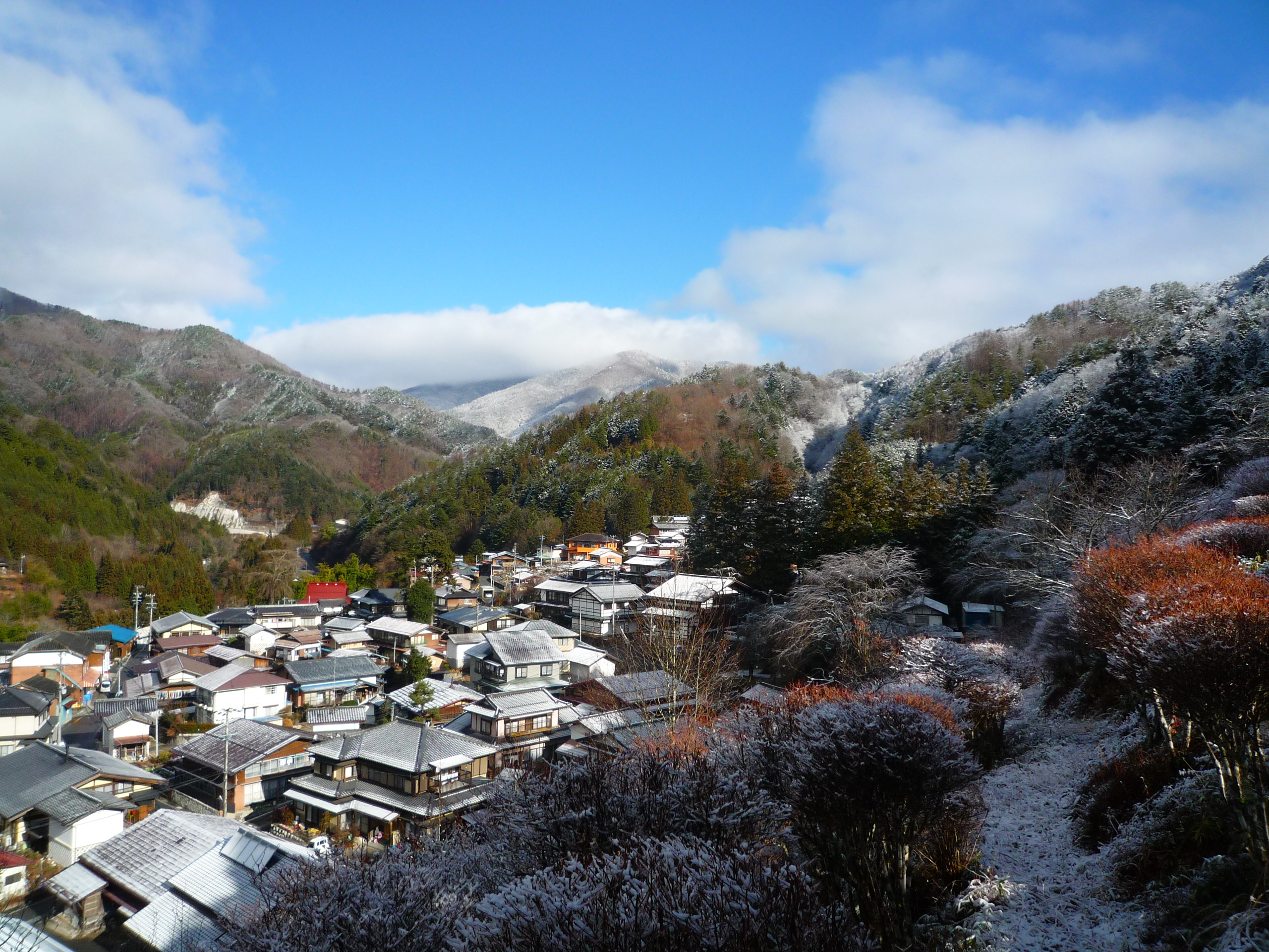清内路のさくさん
