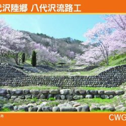 生坂村で「ぶどうカード」第2弾ができました | 来て！観て！松本『彩