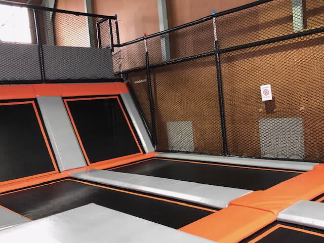 アーティストTRAMPOLINE トランポリン Friendly dog 新品