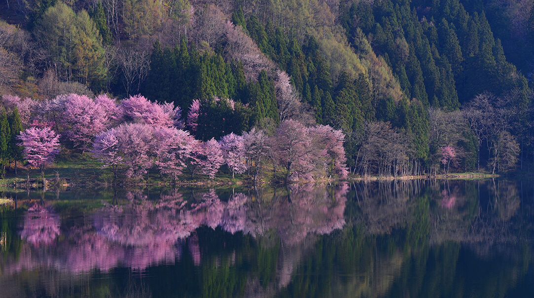 北アルプスCOOL便　北アルプス山麓に広がるこの地域の大自然はもちろん、 歴史、文化、おいしい食べ物など、さまざまな魅力を皆さんにお届けします！