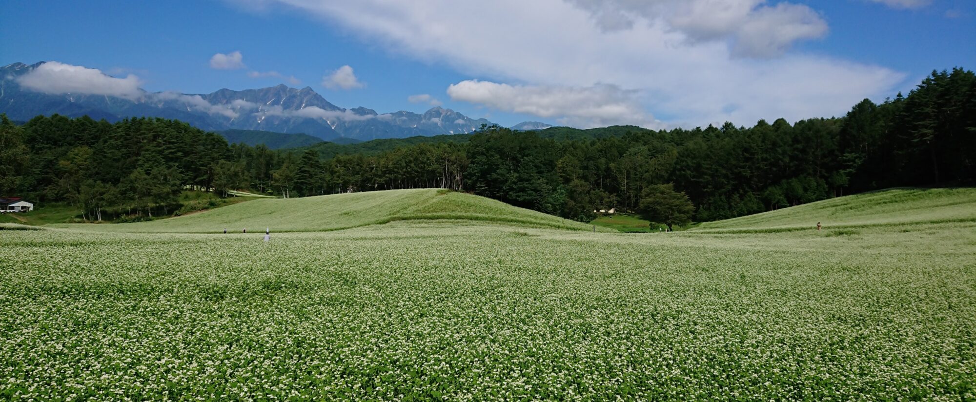 北アルプスCOOL便　北アルプス山麓に広がるこの地域の大自然はもちろん、 歴史、文化、おいしい食べ物など、さまざまな魅力を皆さんにお届けします！