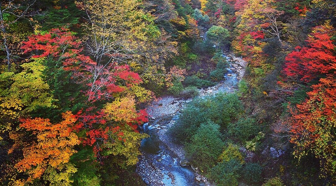 北アルプスCOOL便　北アルプス山麓に広がるこの地域の大自然はもちろん、 歴史、文化、おいしい食べ物など、さまざまな魅力を皆さんにお届けします！