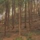 地域の山づくりを進めるために ～森林環境譲与税を活用した取組み～