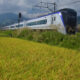 秋を探して～大糸線電車でGO！～黄金の稲穂にソバの花