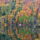 仁科三湖の秋の本気★大町市の紅葉終盤です
