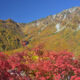 【北ア山麓★紅葉紀行】空へと続く極彩色の道！立山黒部アルペンルート【９月下旬～１０月中旬】