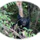 クマとの遭遇を避けるために