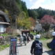 棚田を潤す、青鬼の堰普請