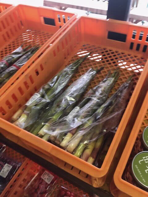 おいしい信州ふーどを食べよう ネマガリダケ サバ缶 たけのこ汁 北信州からごきげんよう