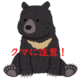 お盆の季節はクマに注意！！