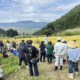 福島棚田の稲刈り体験会に参加しました！