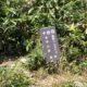 鳥甲山登山@長野県栄村をご紹介します！（秘境「秋山郷」の麓より）