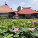 【ぐるっと!食・農】木島平村の蓮寺で魅力発見!