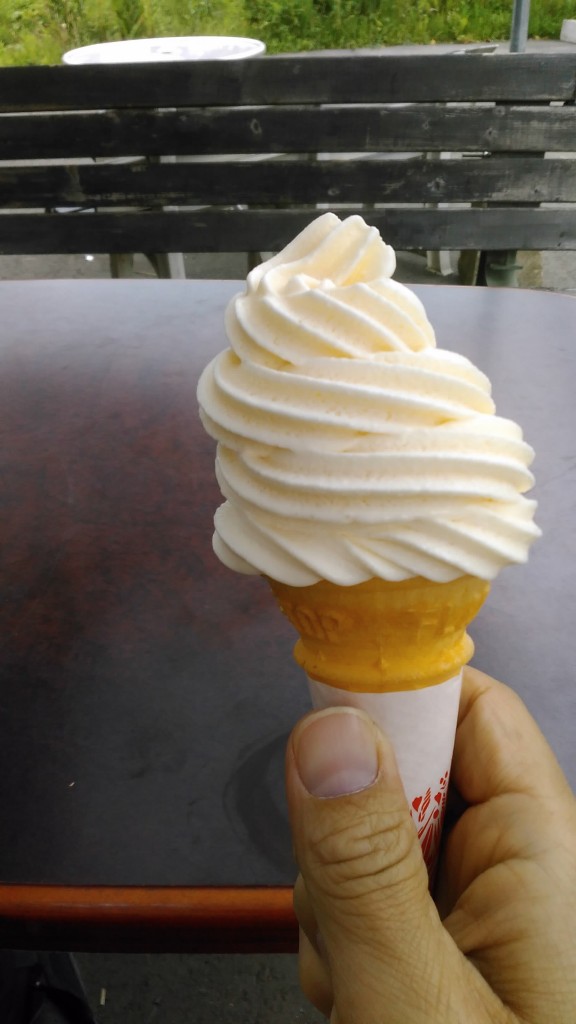 【早い者勝ち！最終値引き】スジャータソフトクリームランプ おはようございます☀️ ⁡ 10時開店の外売店｢うめぇがすと｣より、 超