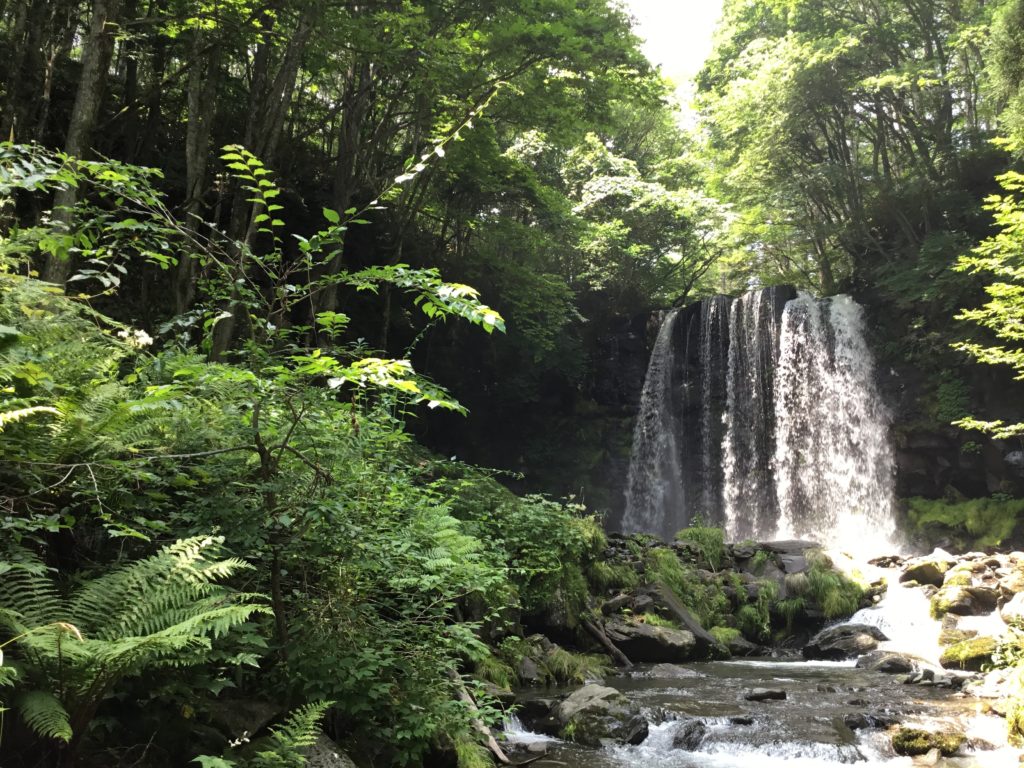 上田地域が誇る夏の避暑地「菅平高原」の魅力をお伝えします 