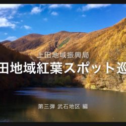 奥志賀高原の紅葉が見頃です 北信州からごきげんよう