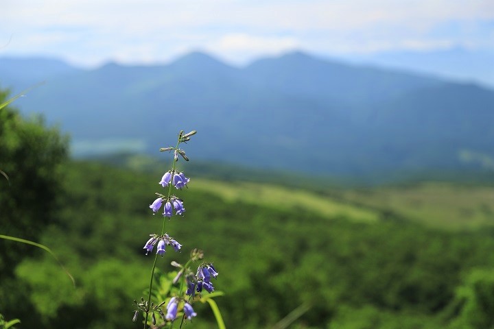山の日に 日本百名山の四阿山と花の百名山の根子岳を登りました じょうしょう気流