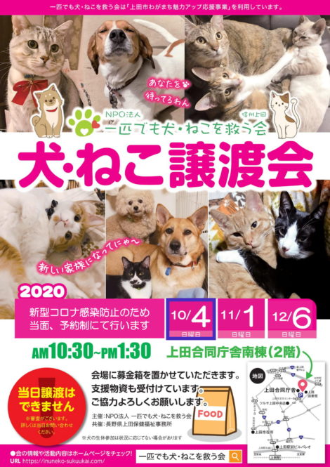休日の犬 ねこ休日譲渡会を10月4日 日 に開催します じょうしょう気流