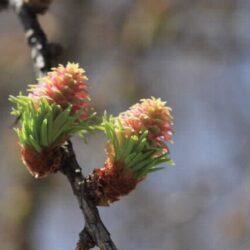 7bc33323bc064cbae415fd946ccdfa