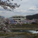 丸子公園（安良居神社）のお祭り