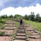 エーデルワイスが迎えてくれた上田地域最高峰の「四阿山」（2,354m）登山。