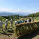 稲刈り、がんばりました　《稲倉（いなぐら）の棚田》