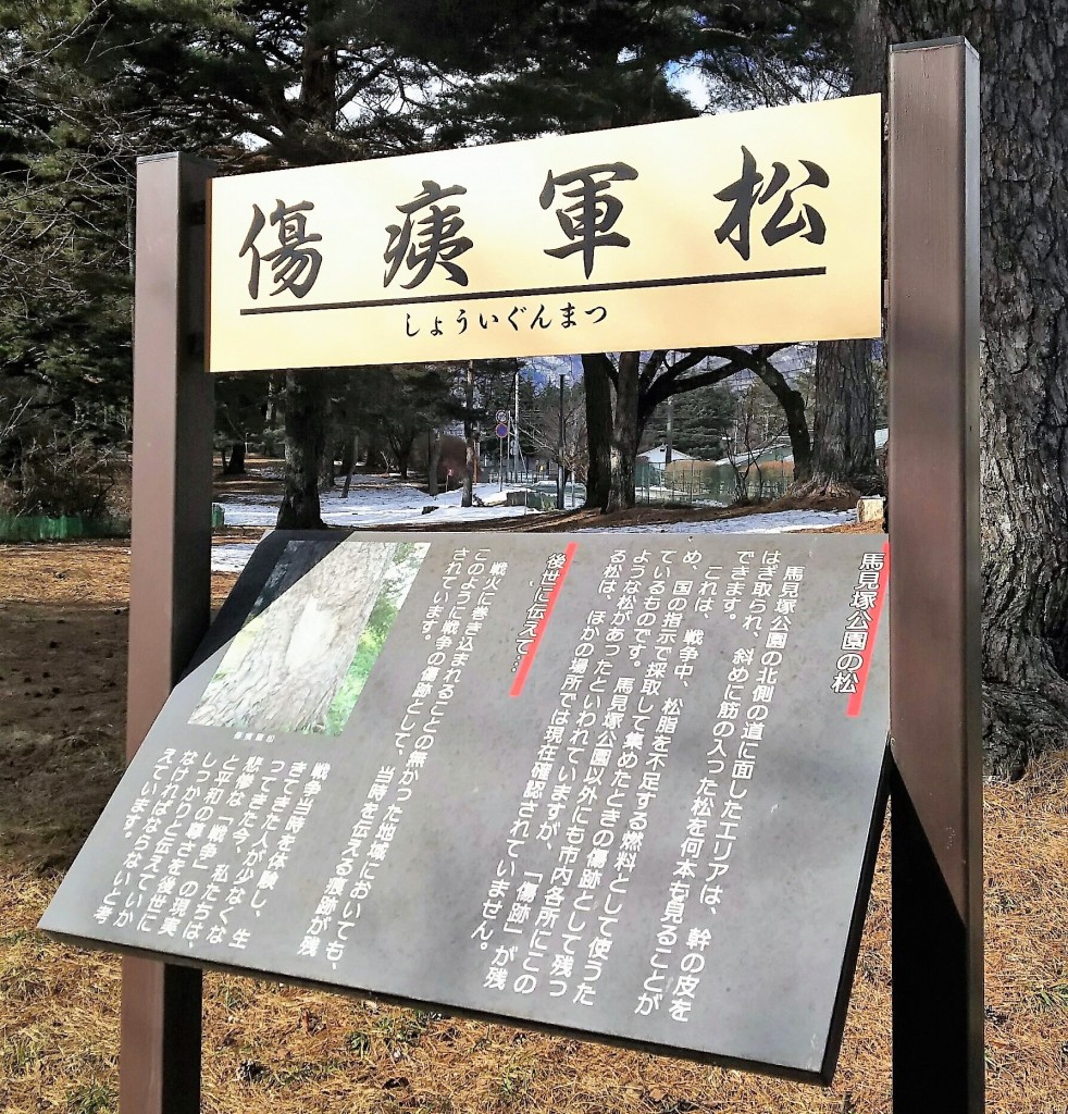松様 確認用 取り止め