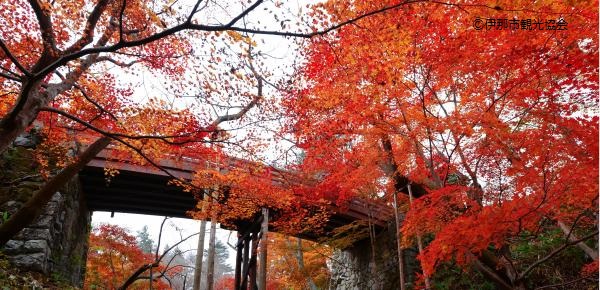 【一点もの】ゆるです☆紅葉のお祭り jousikouen-momiji3.jpg