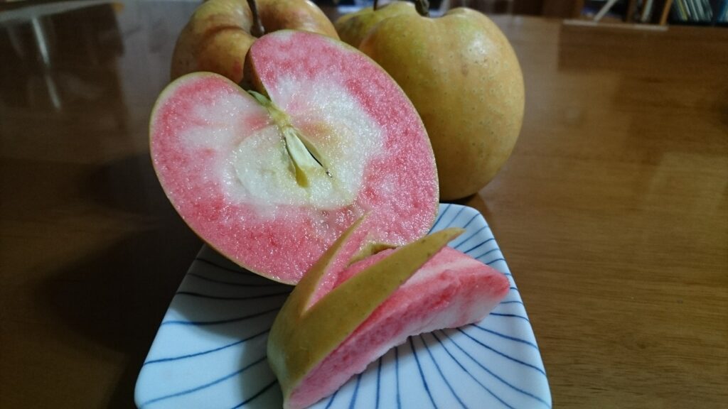 なんと！りんごの果肉の色にびっくり！ | い～な 上伊那