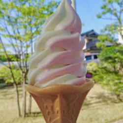 菅平で超濃厚なソフトクリーム | じょうしょう気流