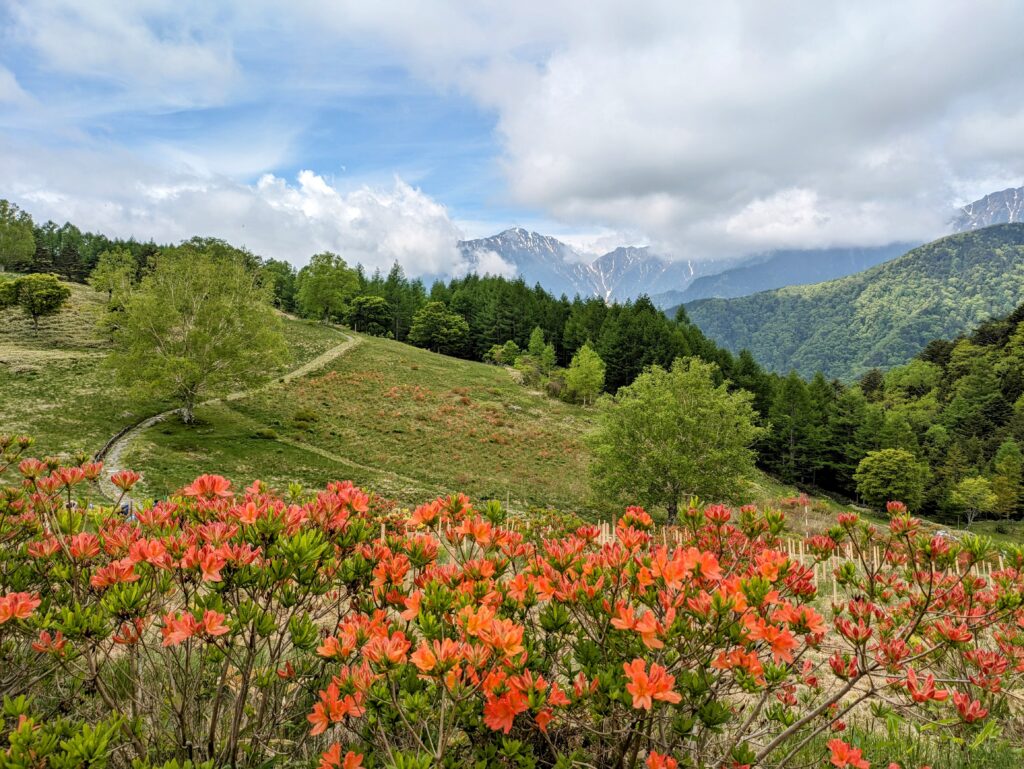 中央アルプス駒ヶ岳・宮田高原開山式が行われました | い～な 上伊那