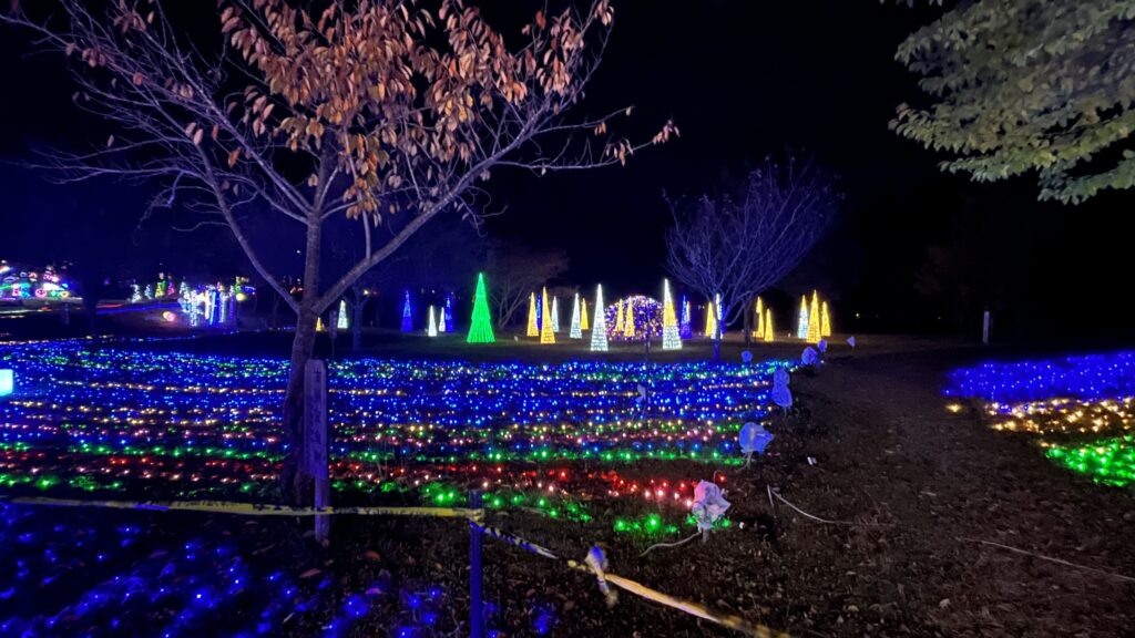 秋の夜空を彩る「大芝高原イルミネーションフェスティバル」 | い～な