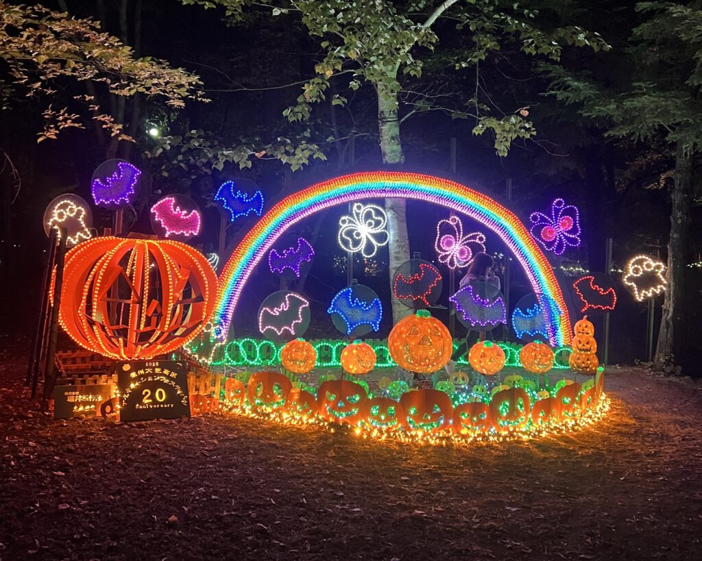 地域のみんなで作る！感動のきらめき✨「大芝高原イルミネーション