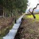 🌾水路の水はどこからくるの?🌾
